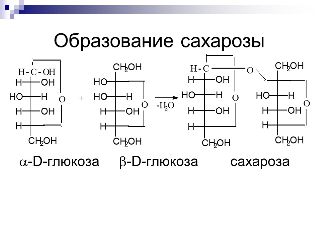 Образование сахарозы -D-глюкоза -D-глюкоза сахароза